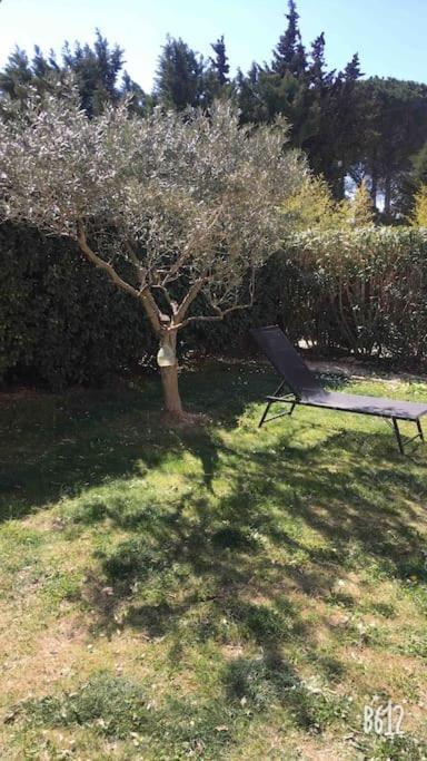 Bastide Au Pieds Des Alpilles St Remy De Provence Piscine Partagee Dans Residence Сен-Реми-де-Прованс Экстерьер фото